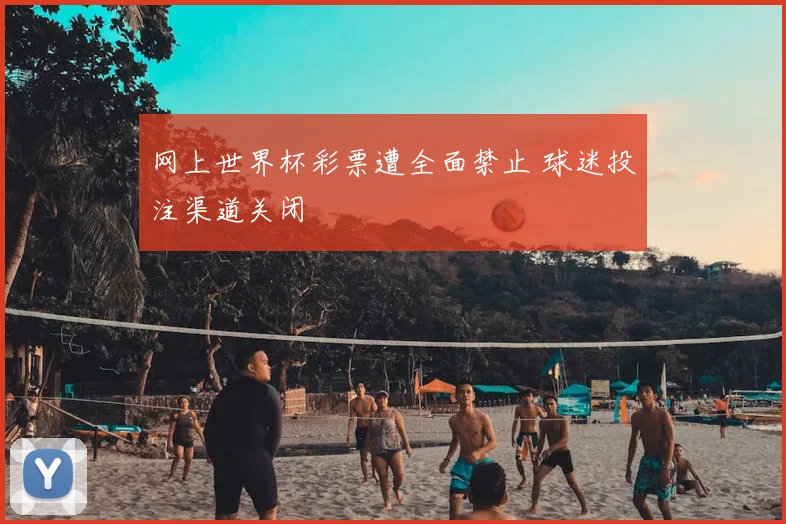 网上世界杯彩票遭全面禁止 球迷投注渠道关闭