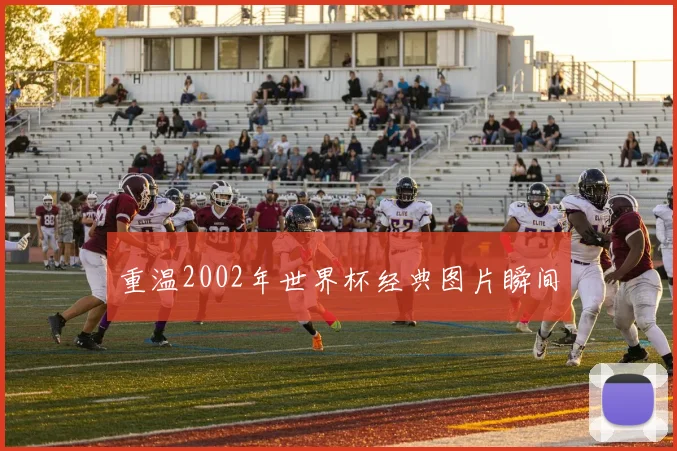 重温2002年世界杯经典图片瞬间