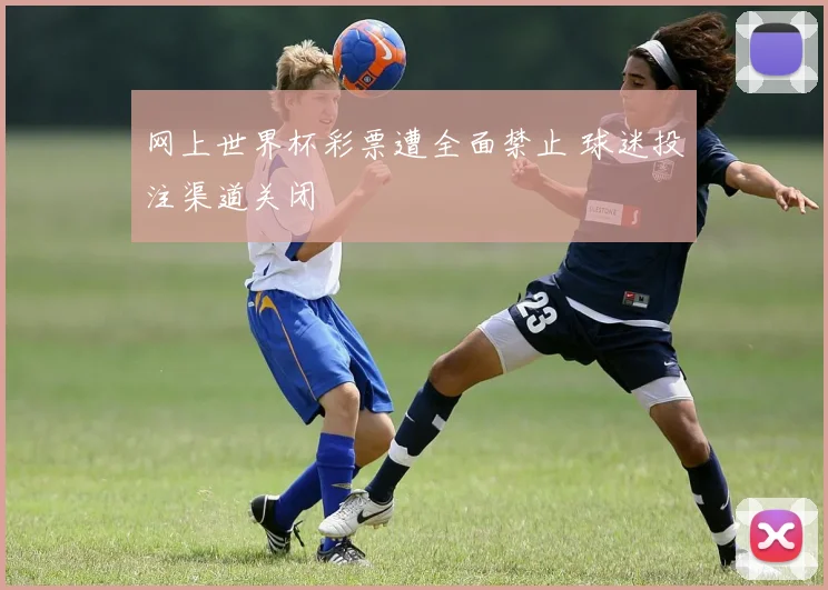 网上世界杯彩票遭全面禁止 球迷投注渠道关闭